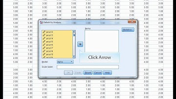 Alpha Reliability in SPSS