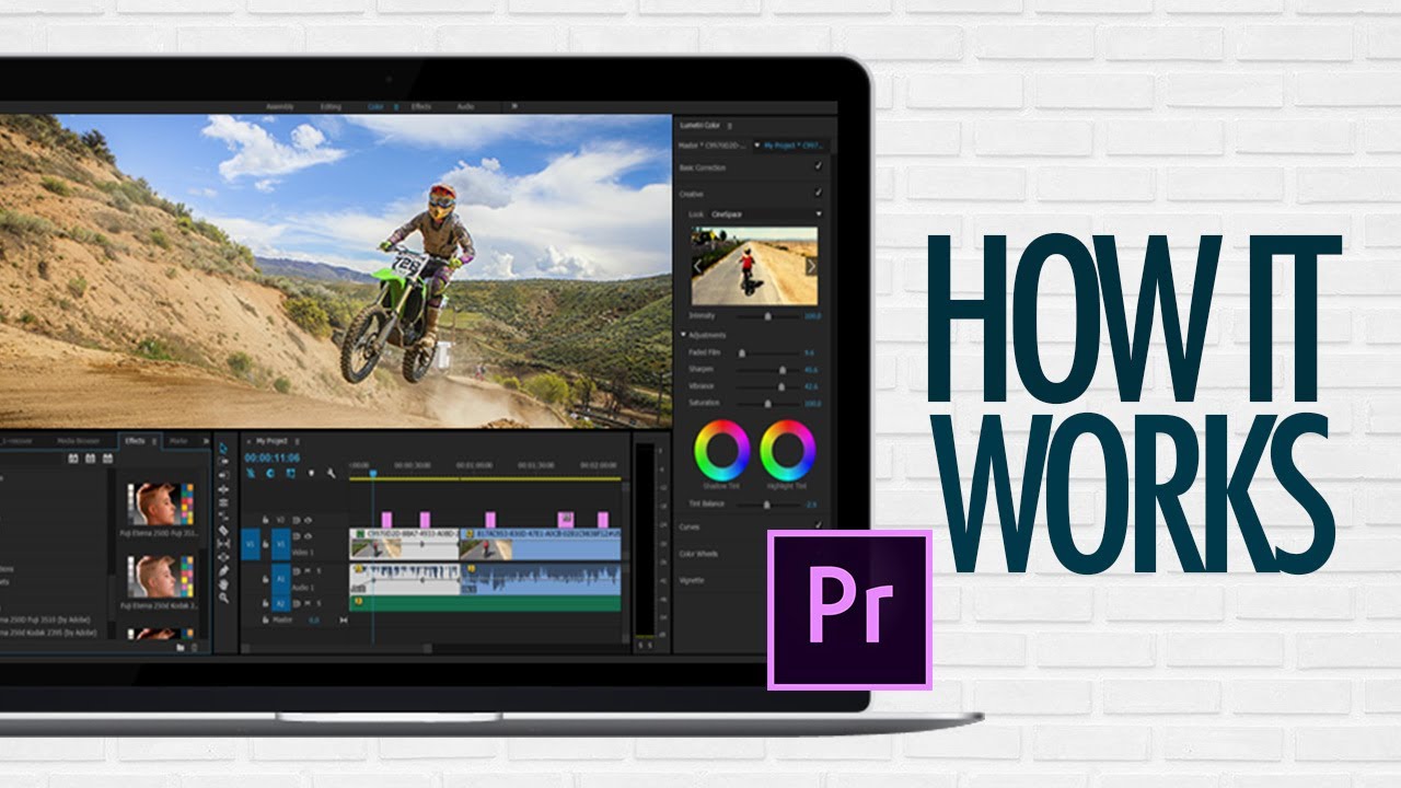 dvdstyler work with premiere pro