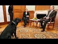 Посольство РФ требует извинений за “Путина-собаку”
