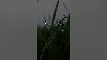تلاوه هادئه للقارئ الشيخ عبد الرحمن السديس اكتب شيء تؤجر عليه