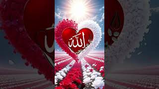 quran ka ayat ka ammal sone se phele zarur karna