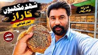 Honey Bee Secret Inside the Hive Saudi Arabia Beekeeping
