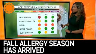 Fall Allergy Season Is Here, Unfortunately. What Can You Do?  | AccuWeather
