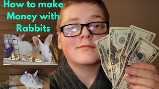 The 5 Best Ways to MAKE MONEY with RABBITS in 2024