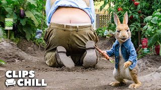 "I'm Gonna Put The Carrot In There!" | Peter Rabbit | Clips & Chill