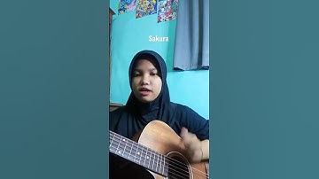 Sakura #fyptiktok Senada Cinta Bersemi Diantara Kita