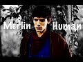 Merlin || Human