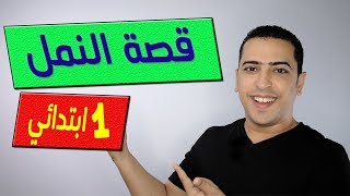 القصة الموجهة النمل - الصف الأول الابتدائي - منهج تواصل - ذاكرلي عربي