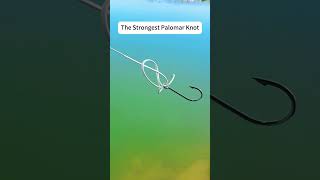 Palomar Knot | Easiest &amp; Strongest Fishing Knot Every Angler Must Know! #reeffun #fishing  #fishhook