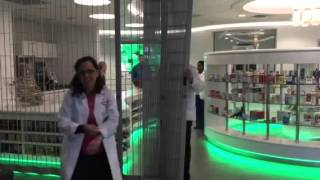USF Health Pharmacy Plus