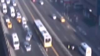 Celebrity Seagull which causes 10 car pile-up on motorway caught in this unbelievable CCTV footage Profile