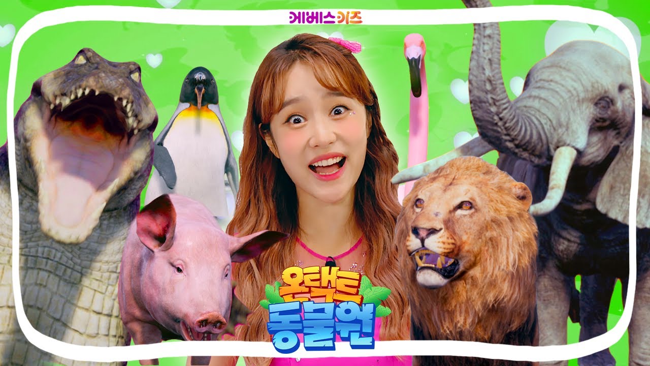 다들 준비 됐지? 오늘은 동물 친구들과 함께하는 콘서트 날!ㅣ뮤지컬 콘서트ㅣ온택트 동물원ㅣ헤이지니ㅣ211129 KBS방송