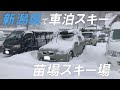 【冬の車中泊】新潟県  苗場スキー場　Mt.Naeba【SUBARU XV】