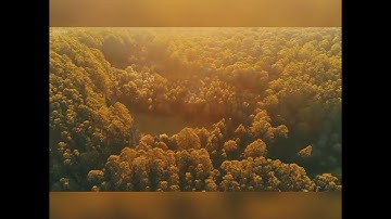 تلاوة طيبة للأخ براء  (أَفَمَن يَعْلَمُ أَنَّمَا أُنزِلَ إِلَيْكَ مِن رَّبِّكَ الْحَقُّ)
