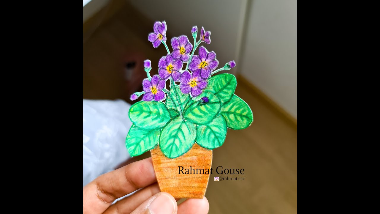 African violet coloring - YouTube