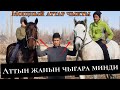 БУ ЖИГИТ нени БАШТАДЫ 🔥 КӨРКТҮҮ АТТАР АНАКЕ