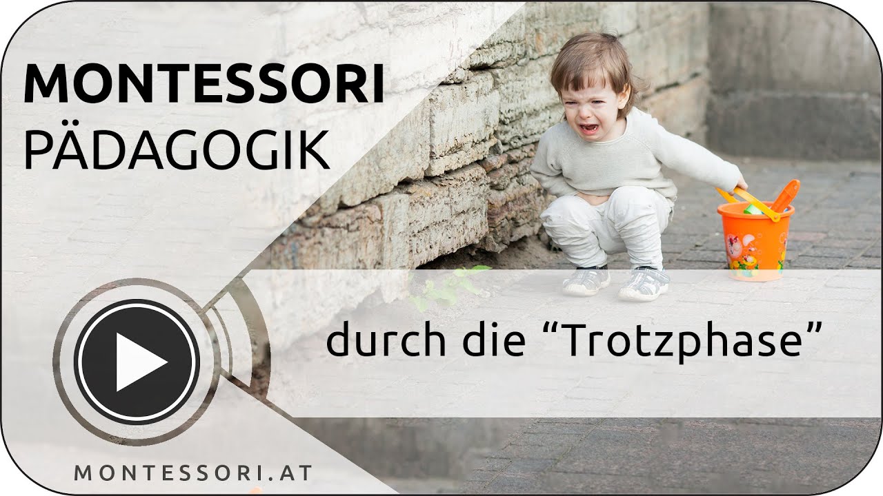 Montessori Padagogik Die Trotzphase Bzw Der Freie Wille
