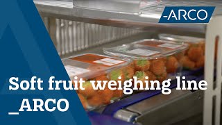 Soft Fruit Weighing Line - Agri & Food Machines - ARCO Solutions screenshot 4