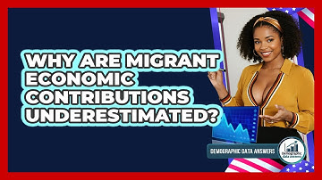 Why Are Migrant Economic Contributions Underestimated? - Demographic Data Answers