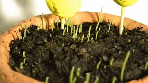 Zhruba 10 dní před Velikonocemi?