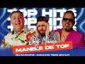 Luis Gabriel,Sorinel Pustiu,Vali Vijelie | Manele De Dragoste