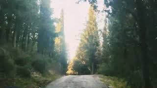 Yıldız Şehitligi Urla