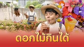 EP.8 มหัศจรรย์ดอกไม้กินได้ใจกลางกรุงเทพฯ ที่สวนป้าผิน | ปักหมุดจุดอร่อย | NationTV22