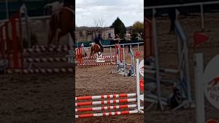 Jeszcze z parkurów w lany poniedziałek🤍 || Japi najwyższy parkur jechaliście w życiu?  #horse #fypシ