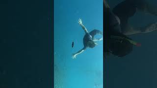 Noah in Moalboal Cebu