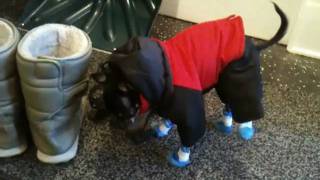 Emma on second try in her new snowsuit