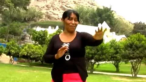 sara solis