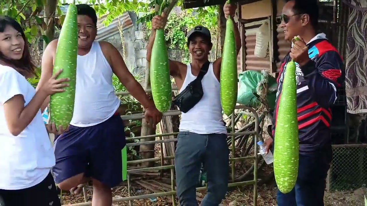 Tara mga idol mamitas muna tayo ng mga gulay Kela boss Jeff,Edmun at boss Arman maraming salamat🌾🐟