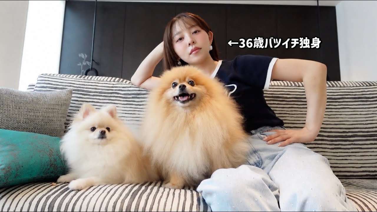 心が疲れたので愛犬とホテルに来ました。〜言いたいことも言えないこんな世の中でポイズン👴🏻〜
