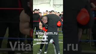 Росгвардеец Таджик VS Казах Олжас #бокс #казахстан #таджикистан