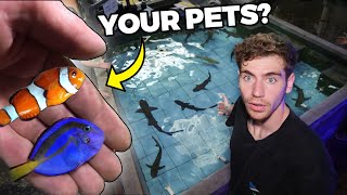 THE TRUTH ABOUT YOUR PET FISH... [Tour] inside the facility they come from!!