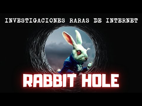 What is a rabbit hole? - The weirdest holes on the internet