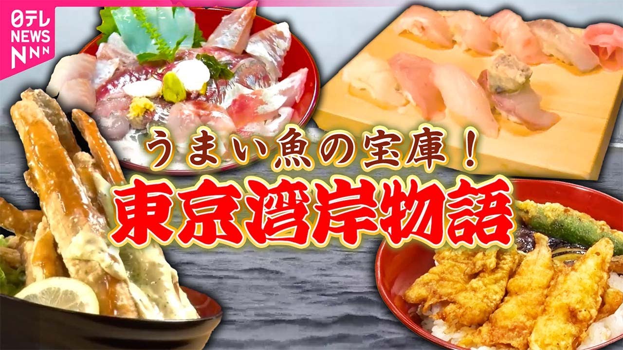 【東京湾岸物語】うまい魚の宝庫！/”海にほれた” 鮮魚の仕事人