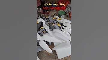cò vạc diệc xốp cứng . cò bợ. cò mã . cò trắng.  cò ngà. vịt trời #bẫyvạc #cògiả