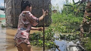 Thủy Triều Rút Là Lúc Hằng Và Ông Tám Dọn Chà Lại Trại Sau Bao Ngày Ngập Nước#hằngmiềntâytv