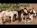 20 से 40 हजार में खरीदे 10 महीने तक के 24 बछेरे | marwadi | nukre horse | horse mandi | pkraj vlogs