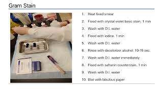 Famous How to lab   Module 2 video Wealth