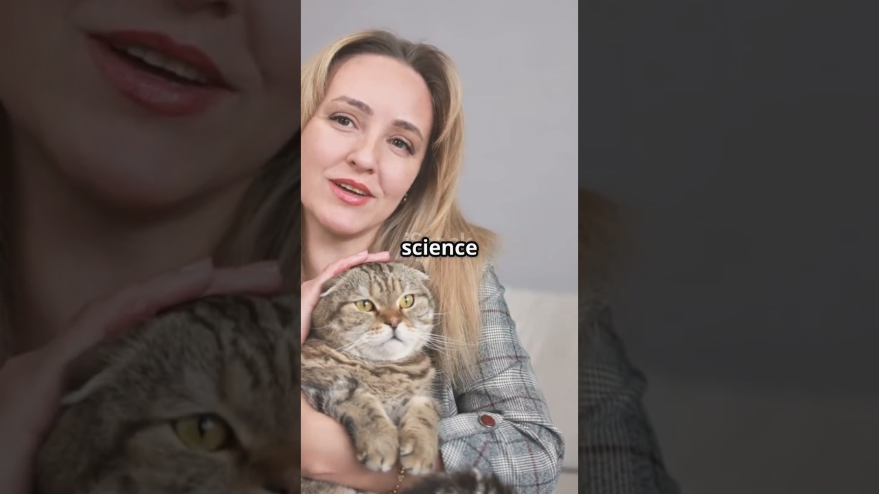 Почему кошачье мурлыканье так эффективно для исцеления?