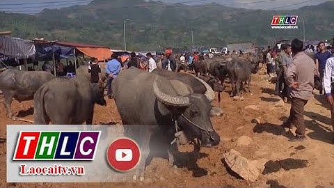 Lộn xộn chợ phiên Cốc Ly, tiềm ẩn nguy cơ mất an toàn giao thông | THLC