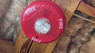 Vista 128FBPN complete fire alarm test (100% complete)