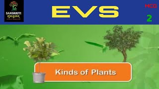 Classification of Plants: Shrubs, Herbs, Climbers & Creepers | kinds of plants | 2 | 5820