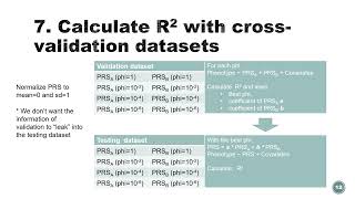 Polygenic risk scores: PRS-CS with Tian Ge & Yunfeng Ruan