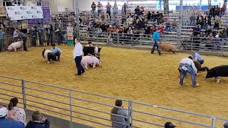 2022 Rio Grande Valley Livestock Show Overall Champion Drive