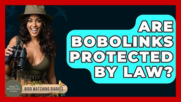 Are Bobolinks Protected By Law? - Bird Watching Diaries
