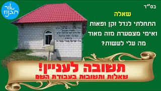 התחלתי לגדל זקן ופאות ואימי מצטערת מזה מאוד מה עלי לעשות | שו"ת מאזינים בעבודת השם | הרב ברוך זרובבל