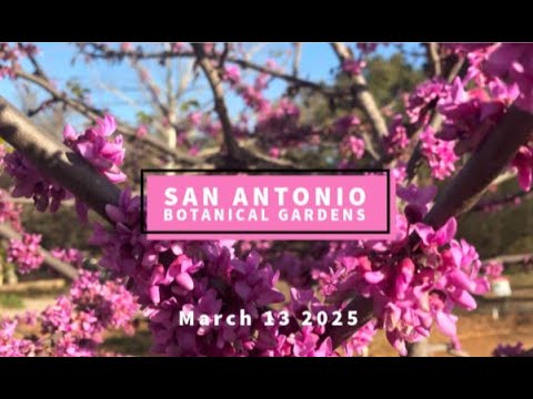 San Antonio Botanical Gardens March 2025 - YouTube
